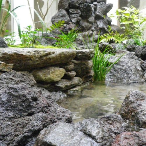 ビオトープ 長崎の造園 庭園リフォーム施工 屋上緑化施工実績no 1の 有 緑清園